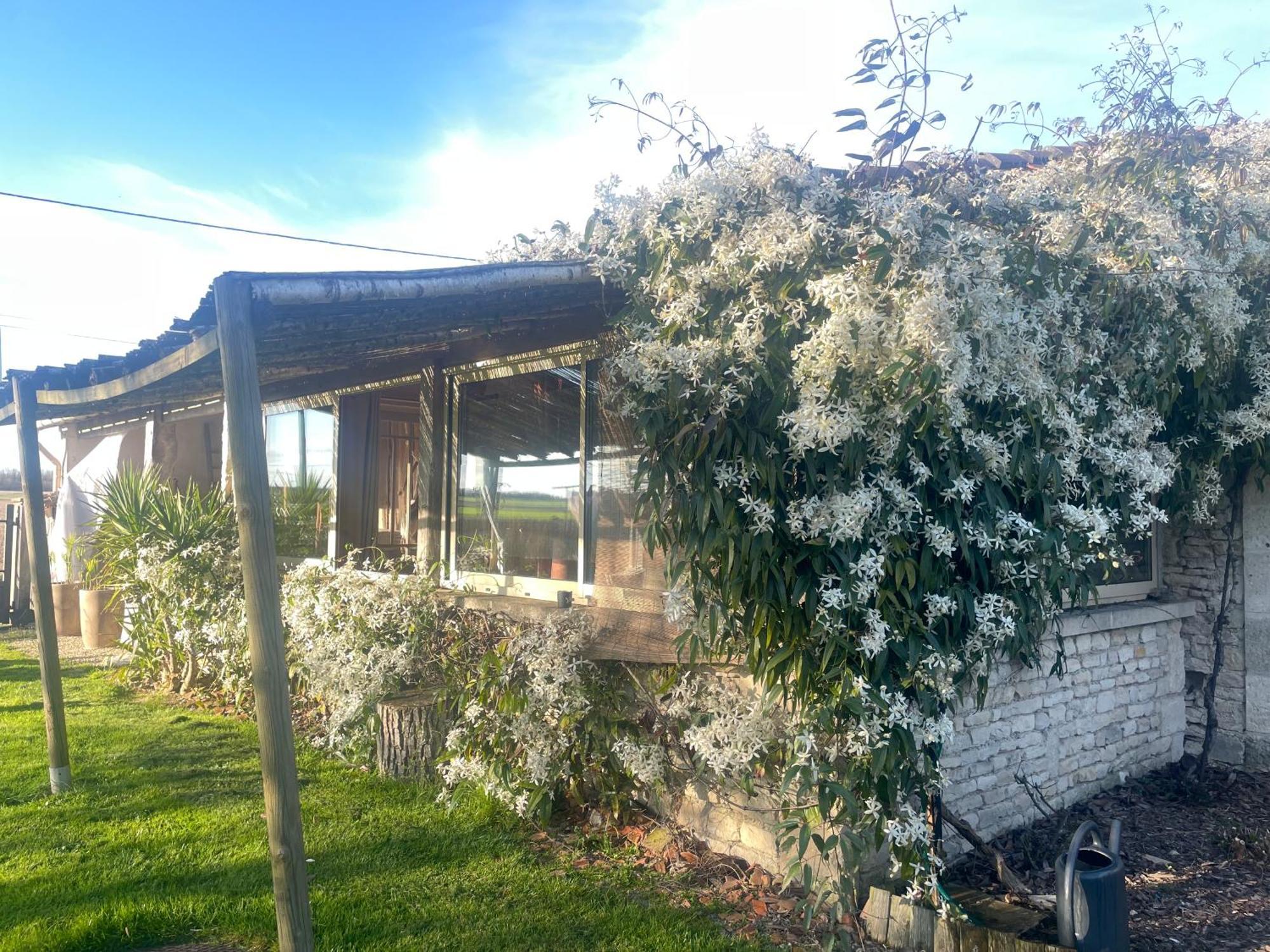 Le P'Tit Nid De Gabriel Bed and Breakfast Les Touches-de-Périgny Buitenkant foto
